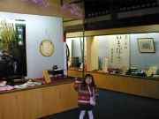 ��ʓ����